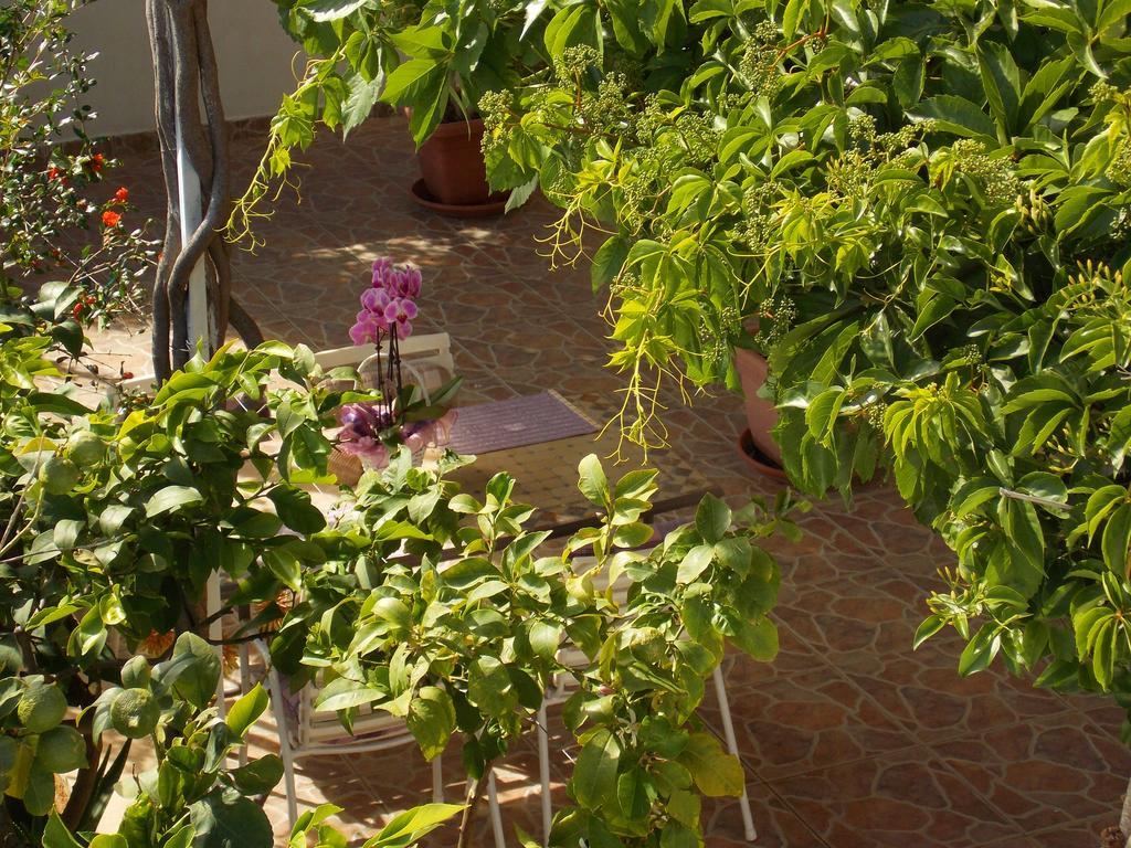 Apartmani Niki Hvar Χβαρ Εξωτερικό φωτογραφία